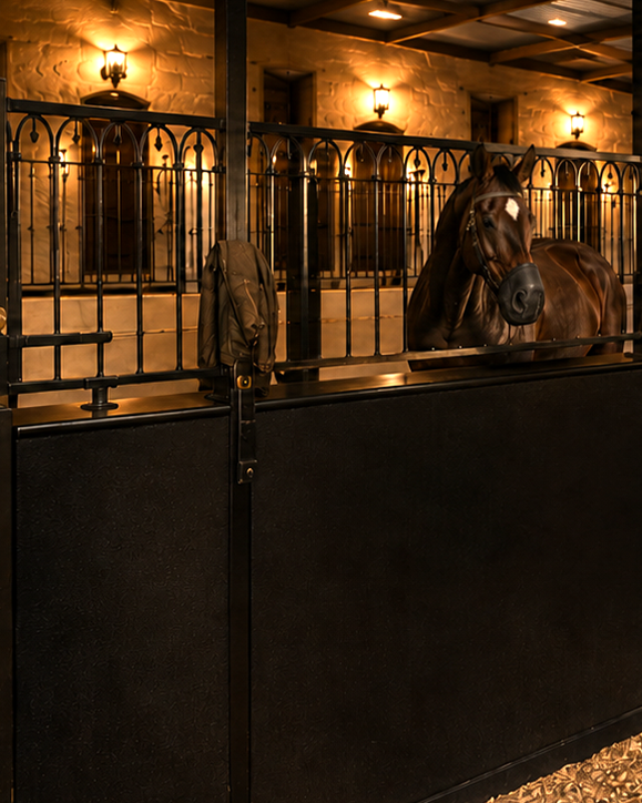 caballo 2